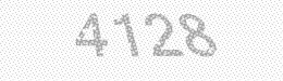 Visual security code — type the characters shown in the image