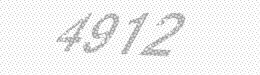 Visual security code — type the characters shown in the image