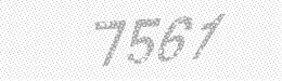Visual security code — type the characters shown in the image
