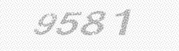 Visual security code — type the characters shown in the image